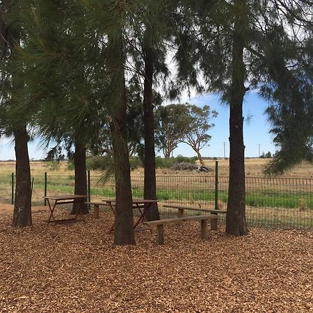 Aussie Cabins Hotel Dubbo Eksteriør billede