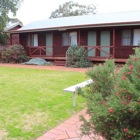 Aussie Cabins Hotel Dubbo Værelse billede