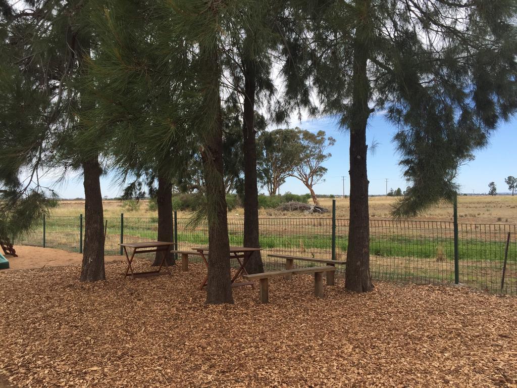 Aussie Cabins Hotel Dubbo Eksteriør billede