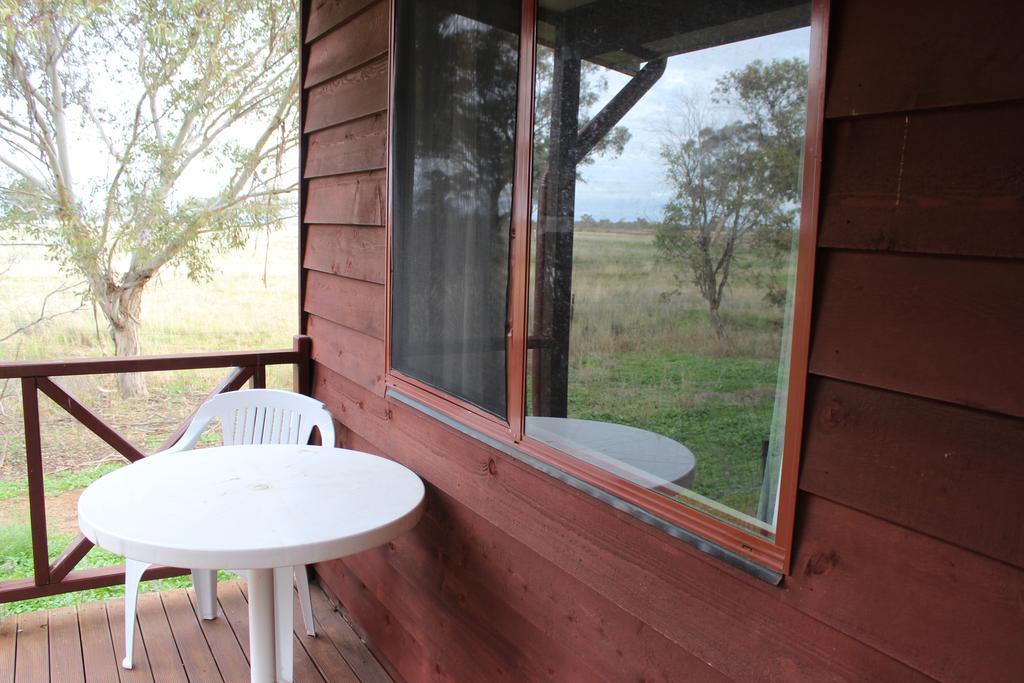Aussie Cabins Hotel Dubbo Værelse billede